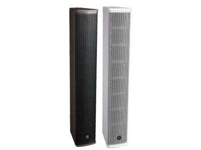 Column Speaker E308